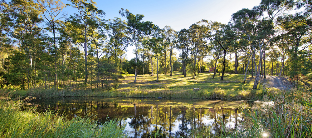 156 Fairview Drive, Willow Vale, Willow Vale - Thumbnail 2